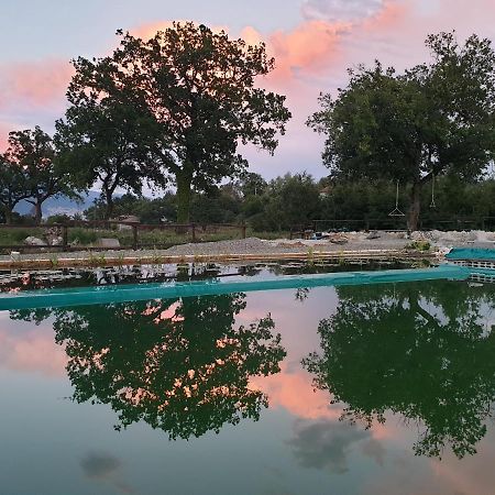 Вілла Agriturismo Albero Del Miele San Rufo Екстер'єр фото